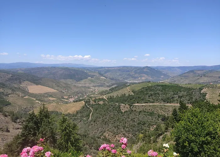 Douro Valley View بلدية آرمامار